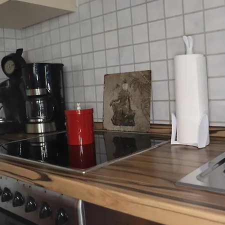 Haus Nicole Apartment Winterberg