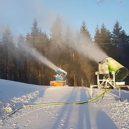 Haus Nicole 아파트