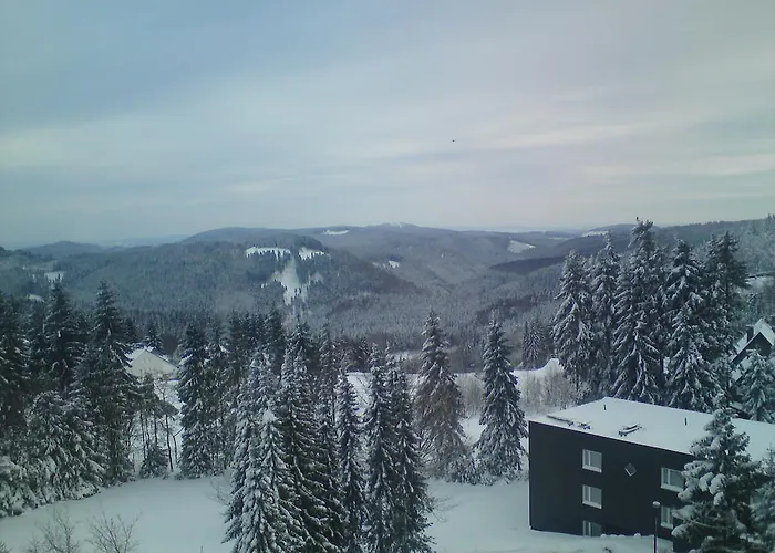 アパート Haus Nicole ヴィンターベルク