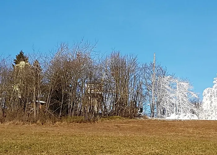 アパート Haus Nicole *