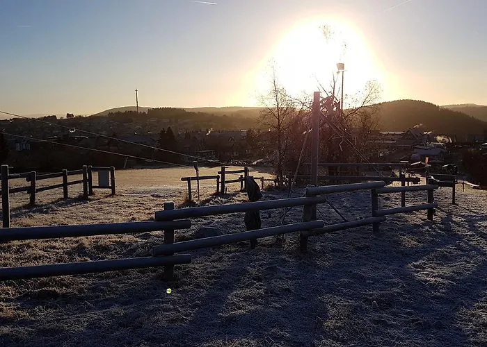 Haus Nicole アパート *